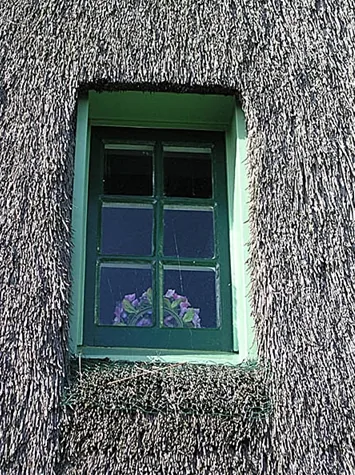 Groen raamkozijn in het riet van een molen bij Obdam