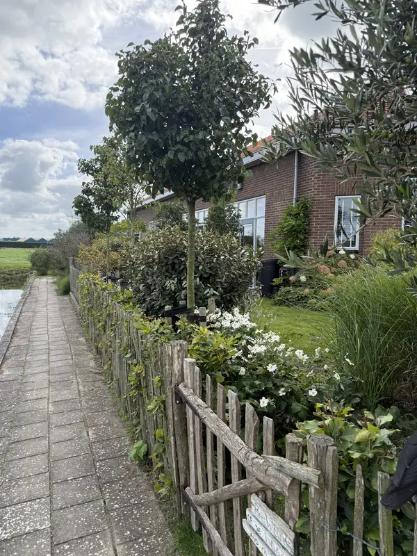 Tuin met houten hekwerk langs het pad naast de woningen, voormalig verenigingsgebouw Hoogwoud